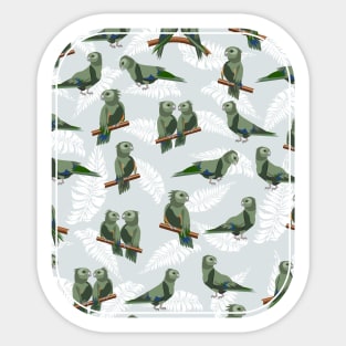 Kea New Zealand Birds Sticker